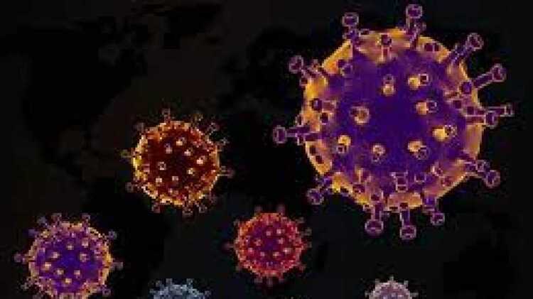 Ilustrasi Virus