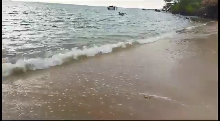 Perairan Pantai Bobby Jepara Tercemar