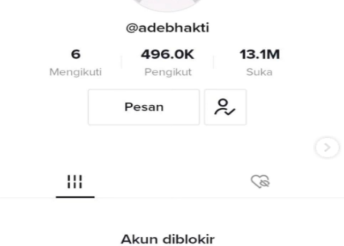 DIBLOKIR: Akun Mantan Camat Gajahmungkur Semarang @Adebhakti diblokir oleh TikTok baru-baru ini.