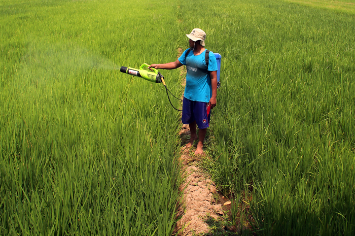 SEMPROTKAN: Petani menyemprotkan pupuk ke lahan pertanian.