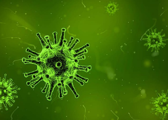 Ilustrasi virus