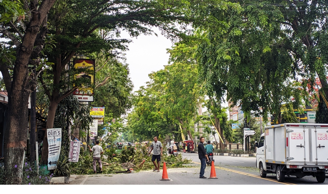 PERAWATAN: Tim DLH Kabupaten Rembang melakukan pemangkasan pohon rawan tumbang.
