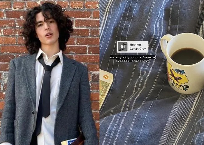 Penyanyi lagu Heather, Conan Gray