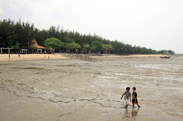 TERJEBAK LUMPUR: Anak-anak mencari ikan meski&nbsp; terjebak lumpur saat air laut surut di pantai Wates Kaliori, Senin (25/12).