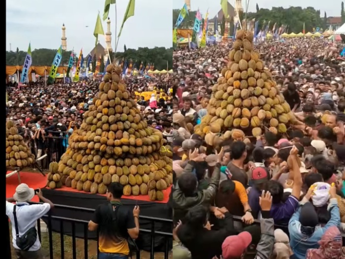 RICUH: Festival Durian di alun-alun Kajen, Kabupaten Pekalongan, warga berdesakan berebut durian.