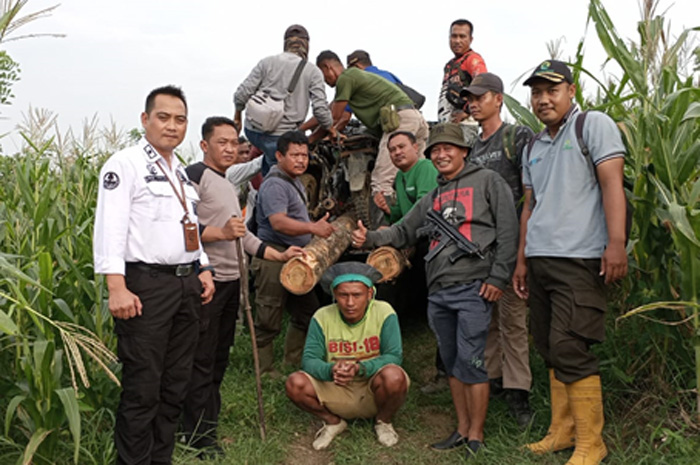 DIAMANKAN: Barang bukti sepuluh buah kayu dan tersangka D berhasil diamankan oleh petugas gabungan di petak 1628 RPH Welahan di Desa Sumberjatipohon, kemarin.