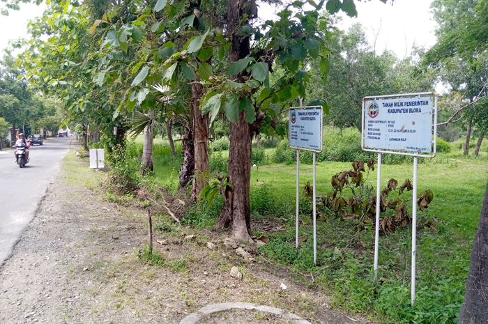 TAK TERURUS: Bagian lapangan Golf Blora sebelah selatan yang dipenuhi tanaman liar kemarin.