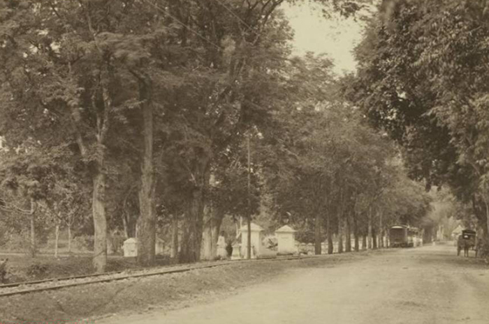 Trem Uap Samarang - Joana melewati Pati 1910. Koleksi Leiden University Libraries.