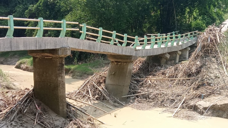 MEMPRIHATINKAN: Kondisi jembatan penghubung Desa Sidorejo dan Jatiharjo Kecamatan Pulokulon nyaris roboh.