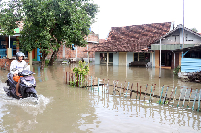 NEKAT: Pengendara motor menerjang banjir yang sudah masuk ke rumah di Desa Tanjungkarang, Jati, Rabu (21/2).