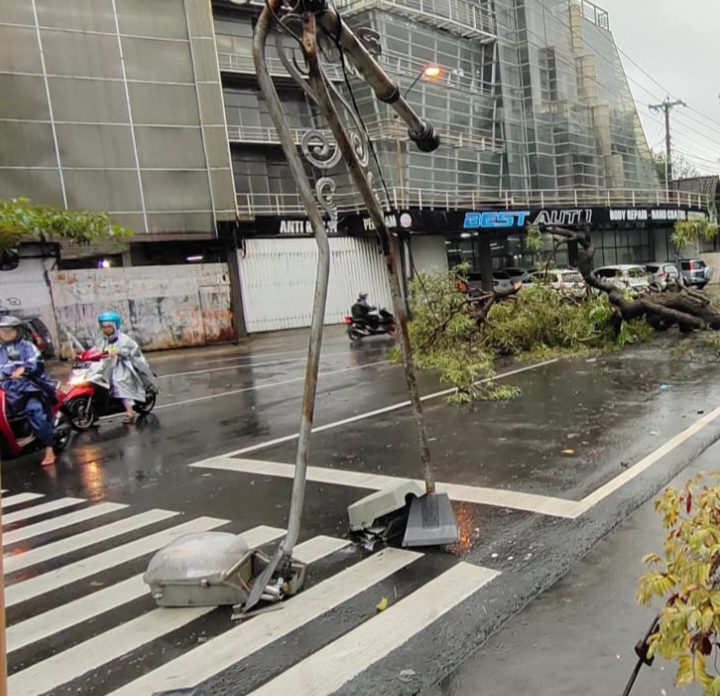 CUACA EKSTRIM: Pohon tumbang yang terjadi di Perempatan Pentol kemarin.