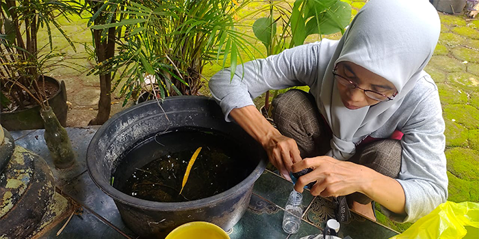 BAHAYA: Petugas mengecek kandungan jentik di salah satu penampungan air milik warga di Kecamatan Kedung belum lama ini.