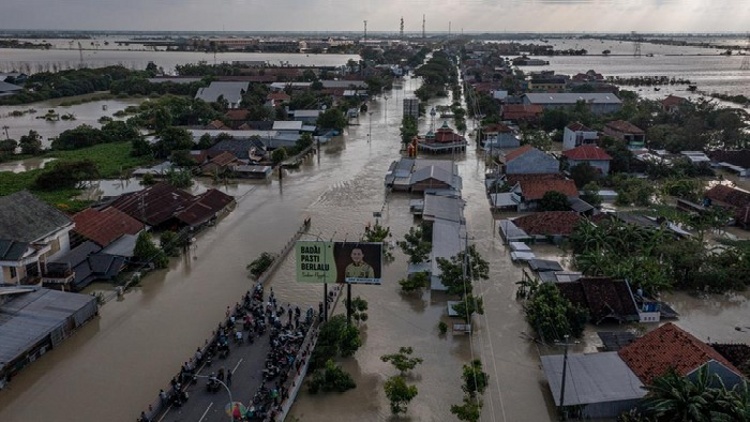 Banjir di Pantura Kudus-Demak imbas tanggul jebol di Karanganyar.