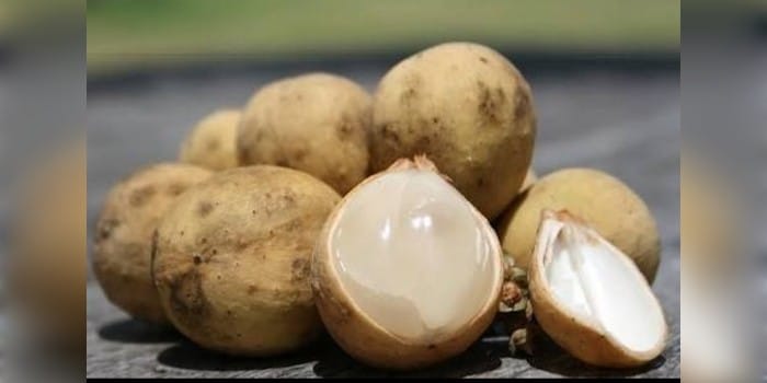 Buah duku