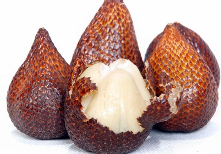 BUAH SALAK memiliki banyak manfaat dan khasiat bagi kesehatan.