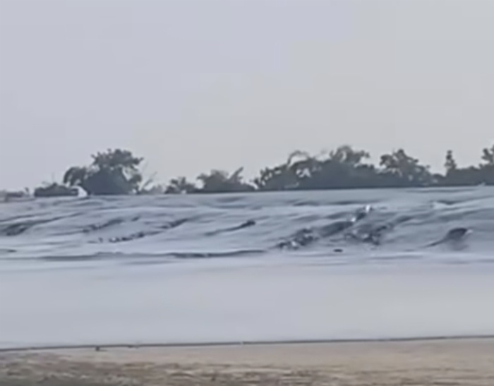 POTRET: Baby Volcano atau Bledug Cangkring di Desa Grabagan, Kradenan, Kabupaten Grobogan memuntahkan lumpur.