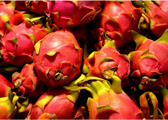 BERMANFAAT: Buah naga memiliki berbagai macam manfaat untuk tubuh.