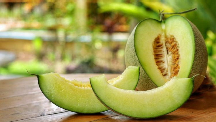 BUAH MELON : Memiliki banyak manfaat bagi kesehatan terutama bagi ibu hamil.