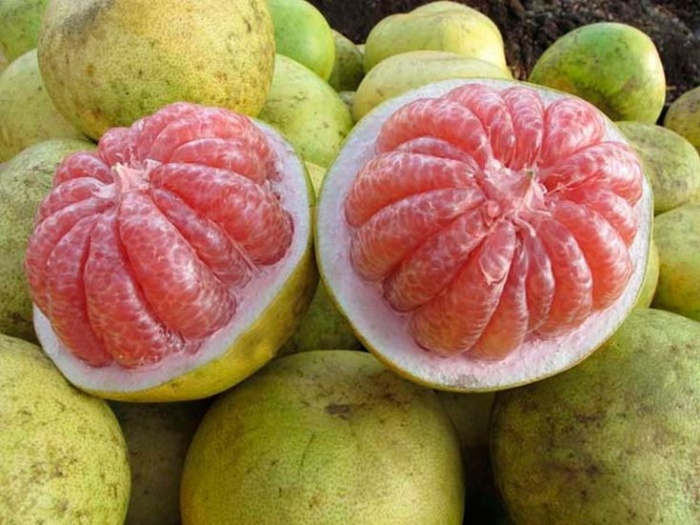 JERUK PAMELO Memiliki banyak manfaat bagi kesehatan.