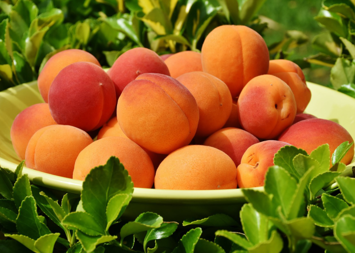 MANFAAT: Buah persik atau peach memiliki banyak manfaat bagi kesehatan.