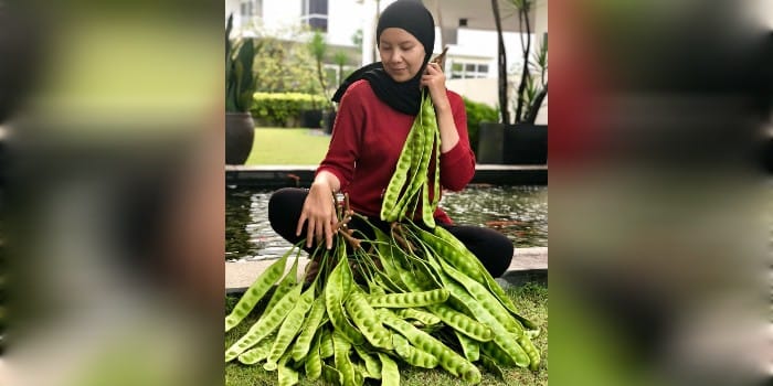BAUNYA KHAS: Petai atau pete rupanya punya banyak manfaat untuk kesehatan.