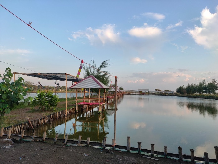 Lokasi Pantai Idola di Banyutowo.