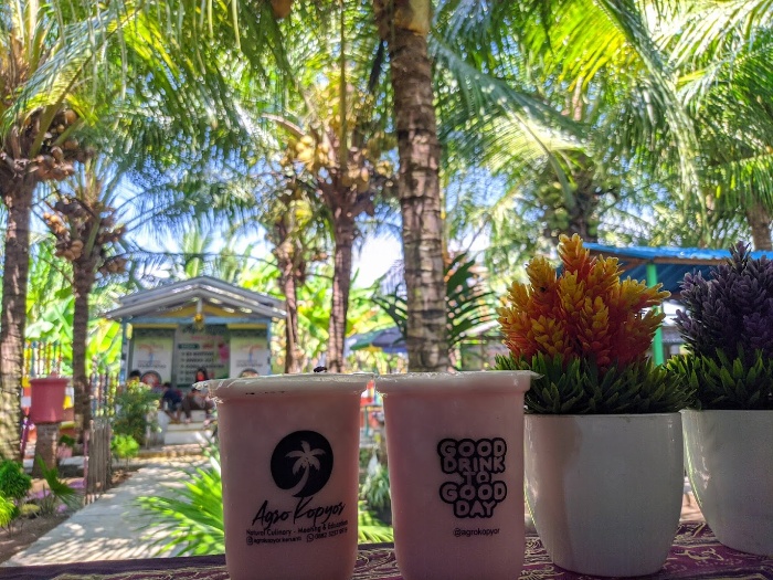 Lokasi Agro Kopyor di Dukuhseti Pati.