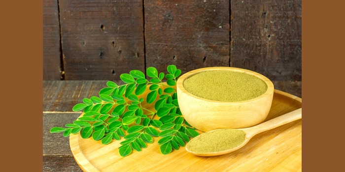 DAUN KELOR