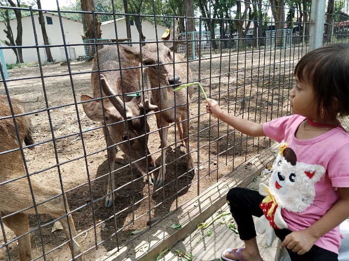 Wisata Kidangan Kudus.
