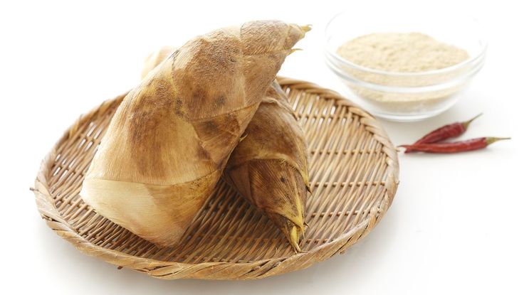 REBUNG BAMBU Memiliki banyak khasiat untuk kesehatan.