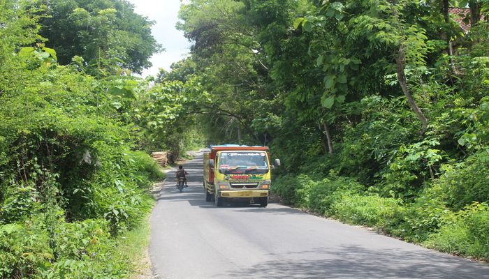 HUTAN: Jalan hutan Blora-Randublatung