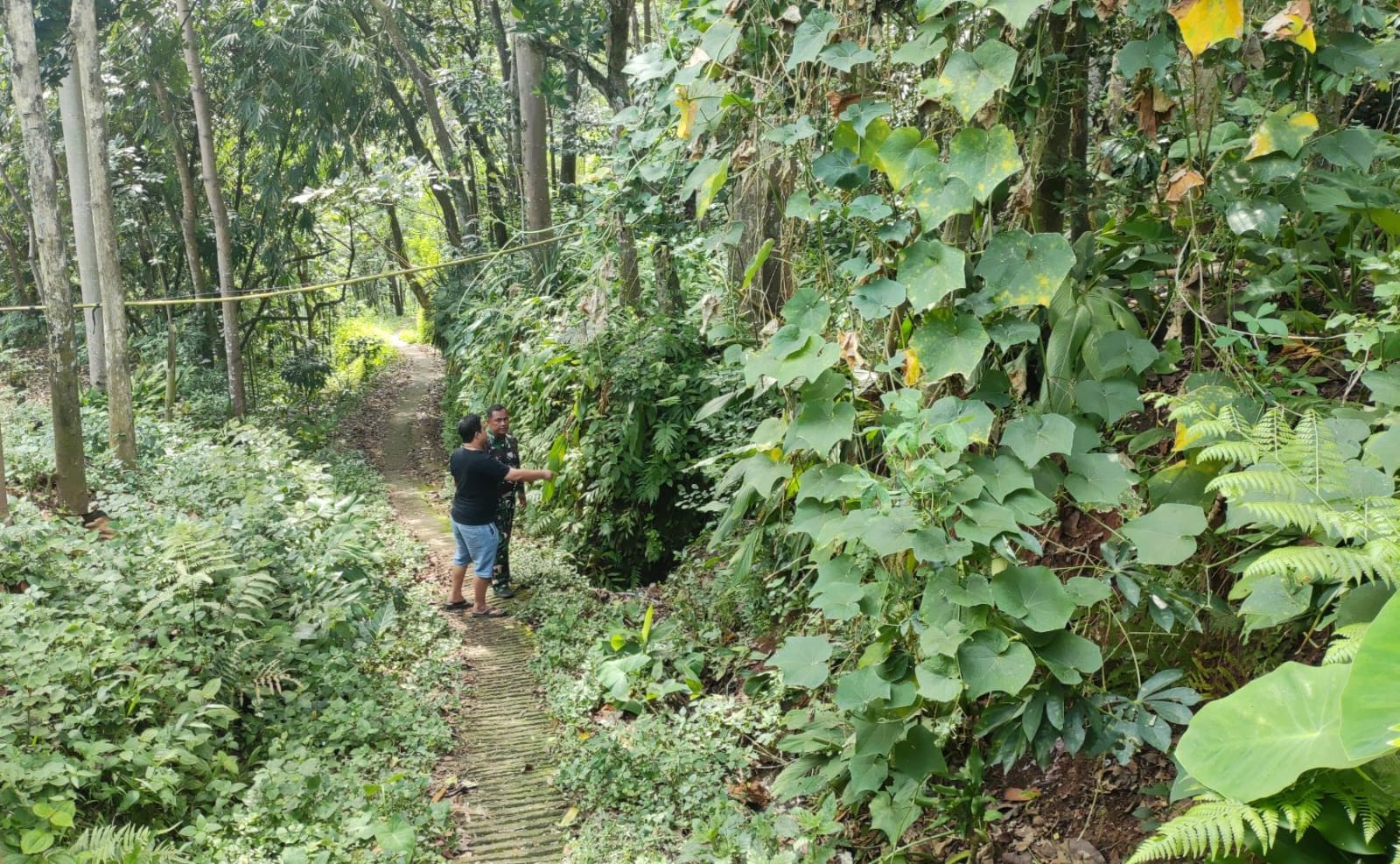 DISISIR: Babinsa menunjukkan lokasi pencurian kambing di Desa Kajar.
