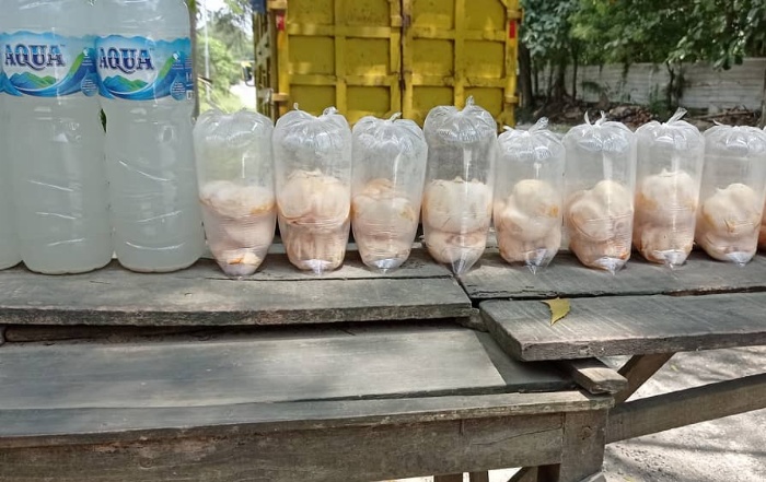 Minuman legen Siwalan dan buah lontar yang dijual di pinggir jalan Blora.