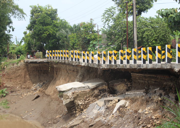 TERGERUS AIR: Kondisi longsor jalan kabupaten di Desa Gadon akibat air Sungai Bengawan Solo.