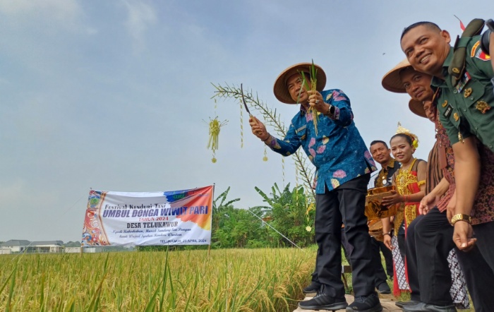 PERAYAAN: Pj Bupati Edy Supriyanta menghadiri Festival Kenduri Tani Telukawur Kamis (25/4).