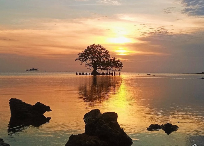 View Golden Sunset di Pantai Ujung Piring Jepara.