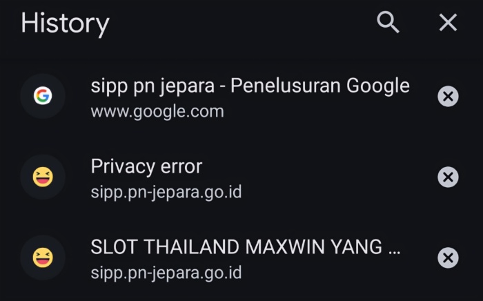 TANGKAPAN LAYAR: Screenshot layer Riwayat penelusuran SIPP P.