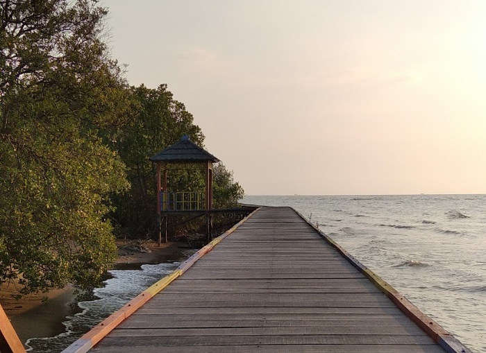 Wisata Mangrove Morodemak.