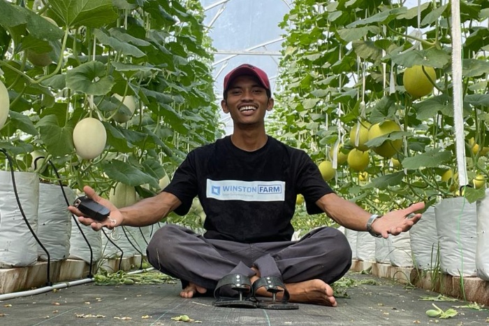 TEKUN: Adi Latif Mashudi berfoto di kebun melonnya di Desa Sumberejo, Kecamatan Japah.