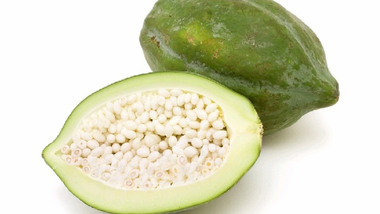 Buah pepaya muda memiliki banyak manfaat untuk kesehatan.