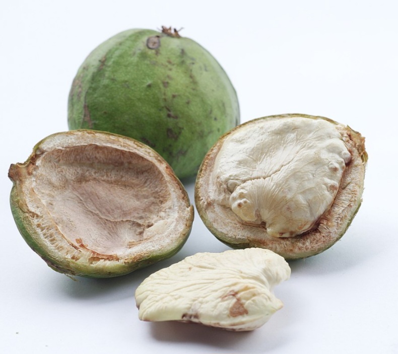 MIRIP JENGKOL: Buah gayam rupanya punya nutrisi yang baik untuk kesehatan.