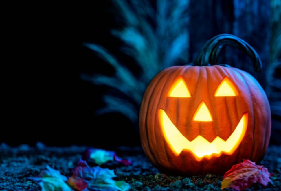 Labu Kuning Halloween