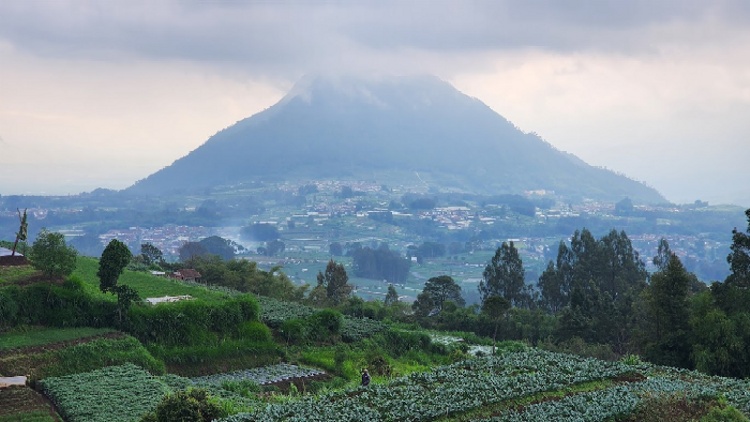 Wisata Kopeng.