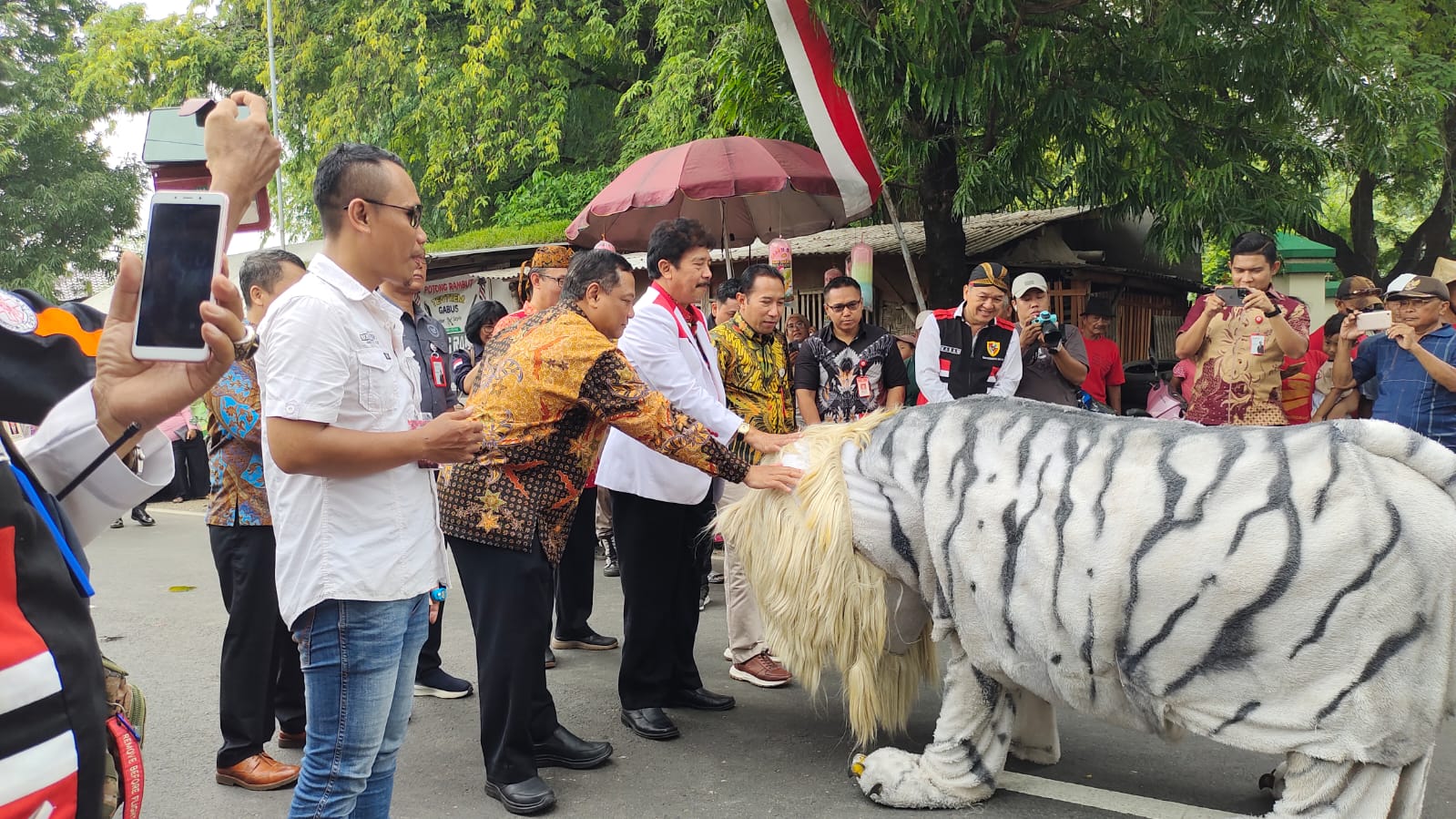 HAMPIR PUNAH: Macan loreng bergeliat di pertunjukan rutinan di Desa/Kecamatan Gabus, Pati, baru-baru ini.