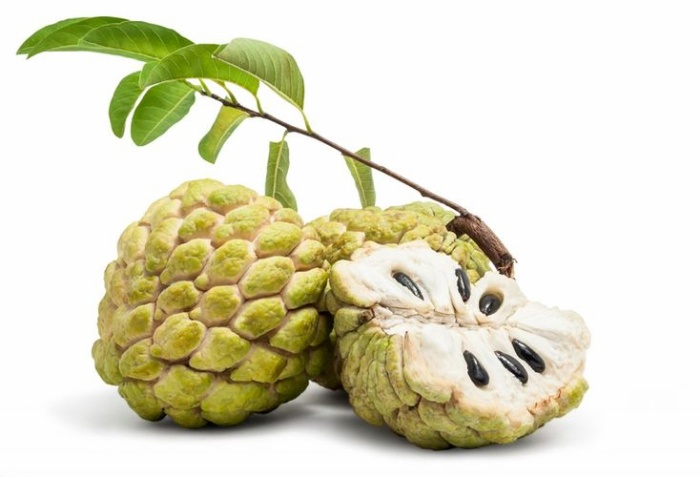 Buah srikaya memiliki banyak manfaat untuk kesehatan terutama bisa meredakan stres.