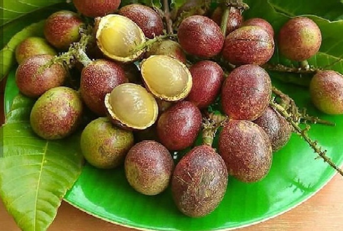 Buah matoa punya segudang khasiat untuk kesehatan.