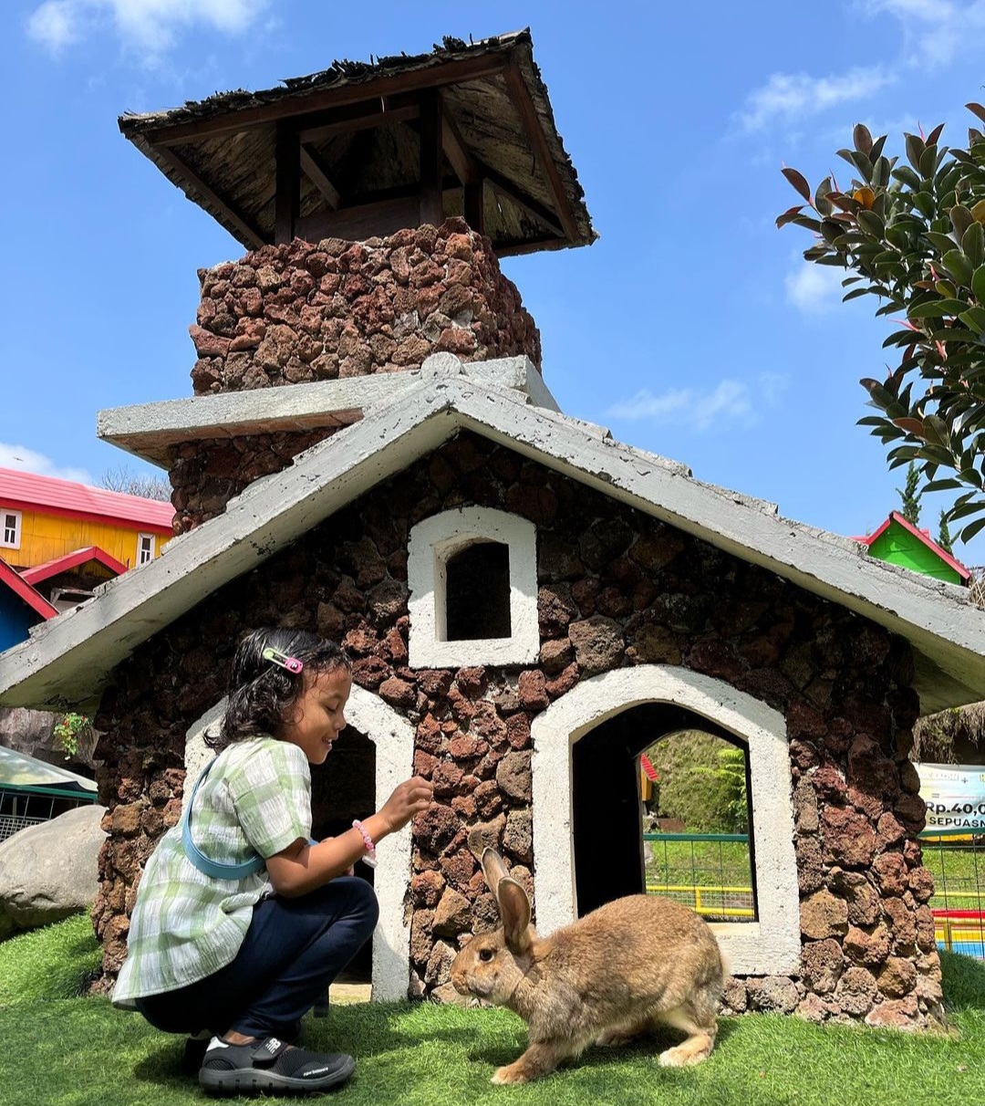BERMAIN BERSAMA KELINCI: Seorang anak sedang bermain dengan kelinci di Farm House.