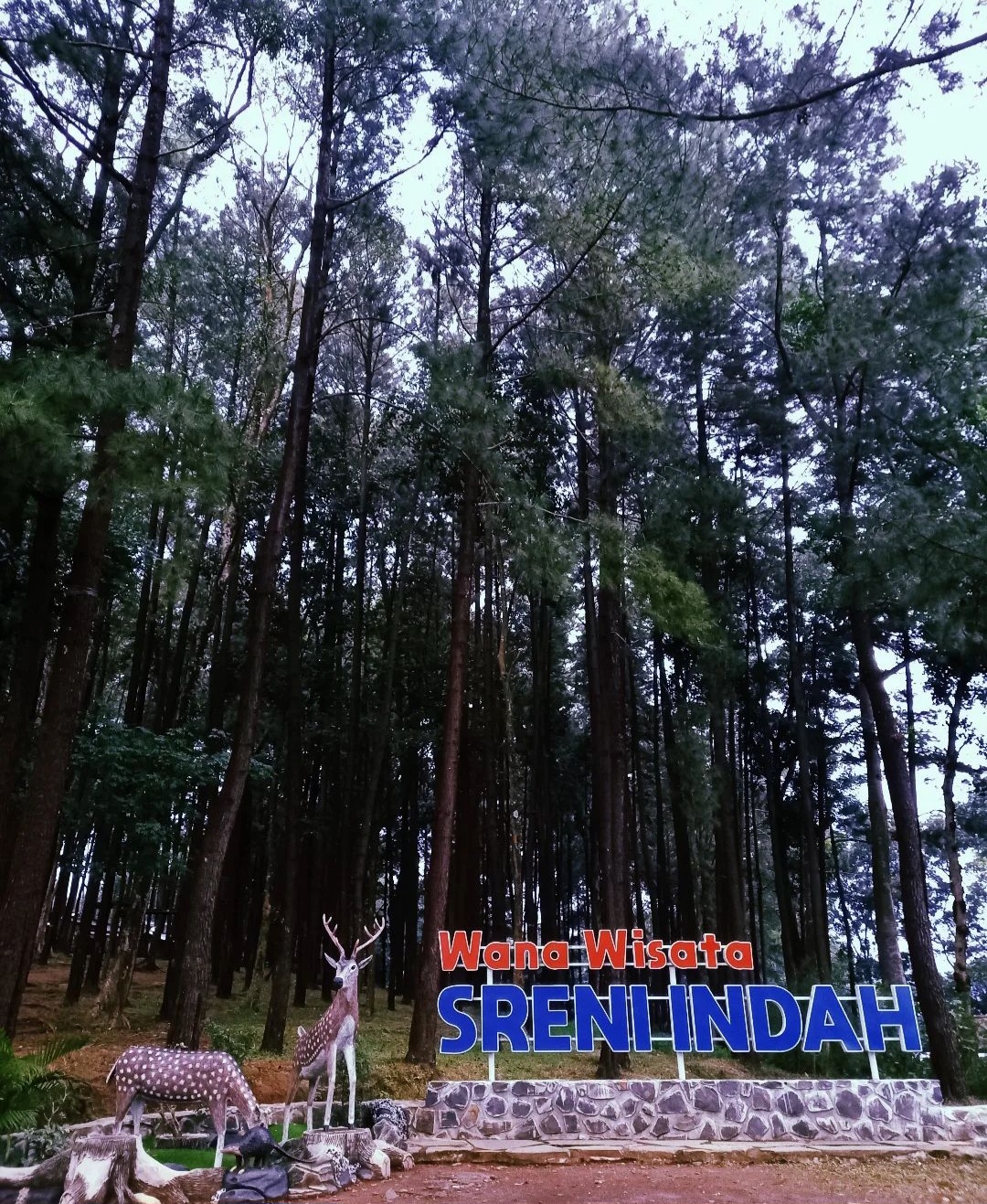Salah satu wisata di Jepara yang memiliki camping ground