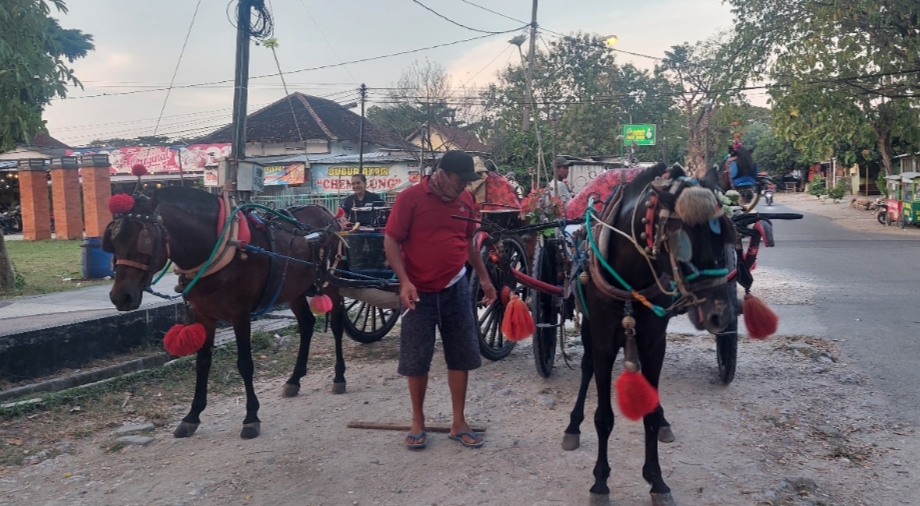 ANGKUTAN: Sejumlah pekerja delman di Kecamatan Cepu tetap ramai wisatawan luar kota berkunjung ke Cepu.