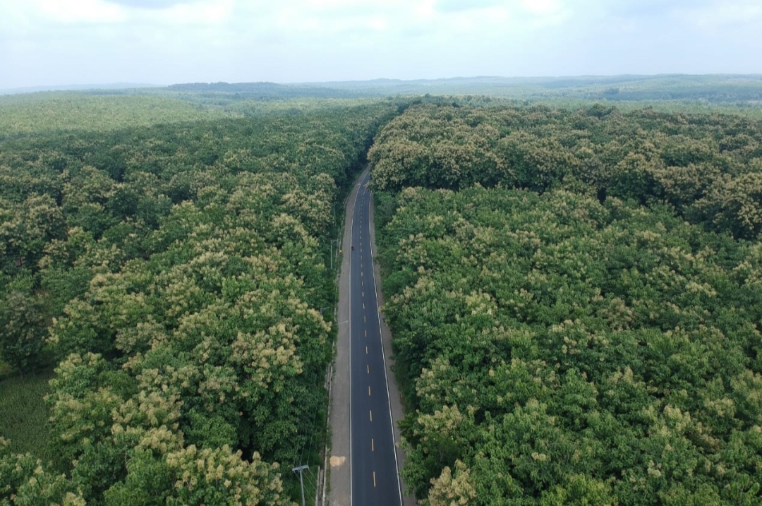 PENGHIJAUAN: Kondisi tampak atas hutan Cepu yang masih asri dengan banyaknya pohon jati.
